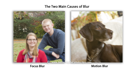 Need to know how to fix blurry digital photos?  Depending on the cause, there are many ways to repair your blurry photos