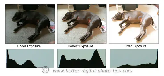 Digital photography histograms. Simple explanation of what is a histogram and why you should even care.
