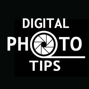 Looking for quick help with your on photography? Try this Digital Photography Tips Search. Find the answers you're looking for right away.