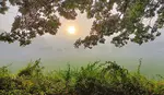 Framing Technique in Photography