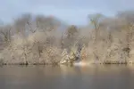 Snowy Lake landscape