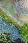 Looking for how to start shooting abstracts? Use these clever abstract photography tips for beginners to hit the ground running.