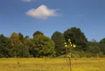 Polarizing filter explained.  What it does and how it affects your pictures. Side by side comparison sample polarized photos 