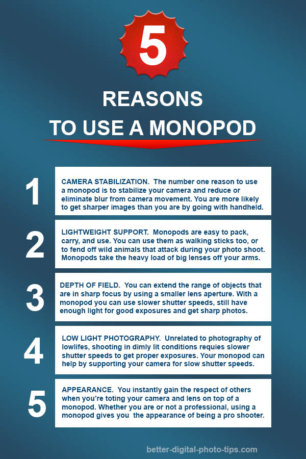 manfrotto monopod benefits infographic