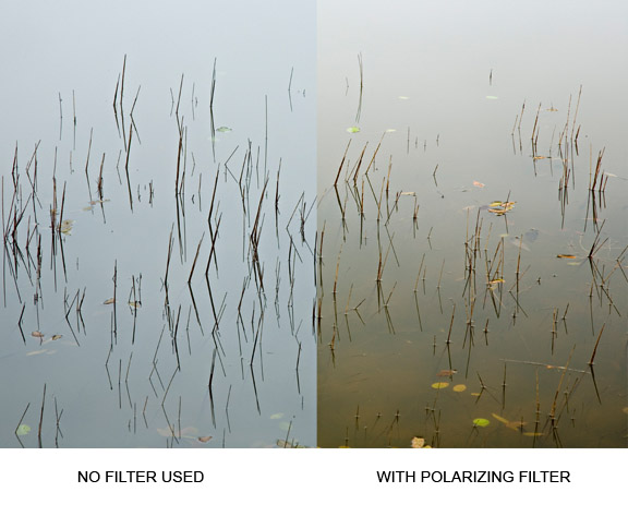 Before and after polarizing filter