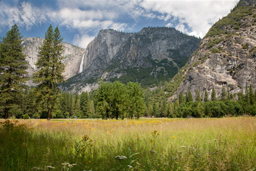 Landscape photo of Yosemite