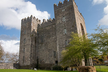 Bunratty Castle crop sensor