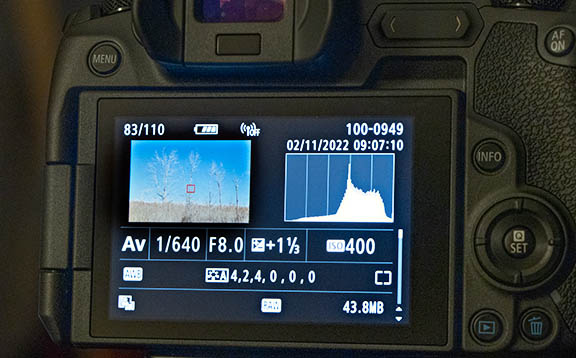 Camera exposure histogram