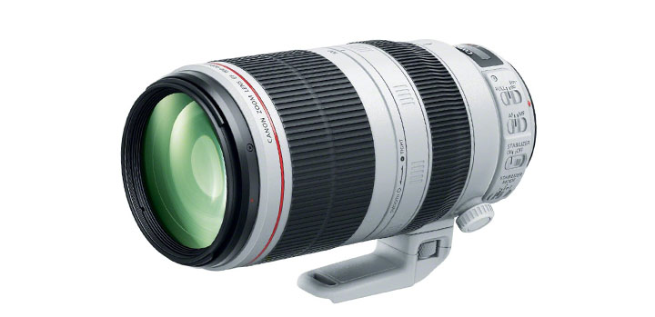 Canon 100-400 f/4-5.6