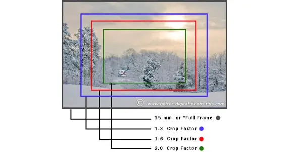 Illustration comparing different crop factors