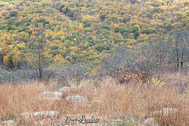 Delaware Water Gap AT Trail