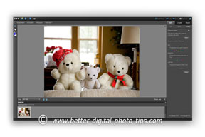 Photo of PhotoShop Elements 9 software