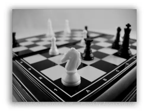Picture of Chess Board as an Example of Depth of Field