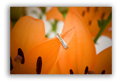 Use of an Engagement Ring to Show Depth of Field Sample Photo