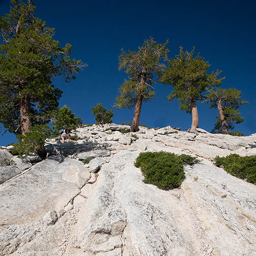 Approach to Half Dome