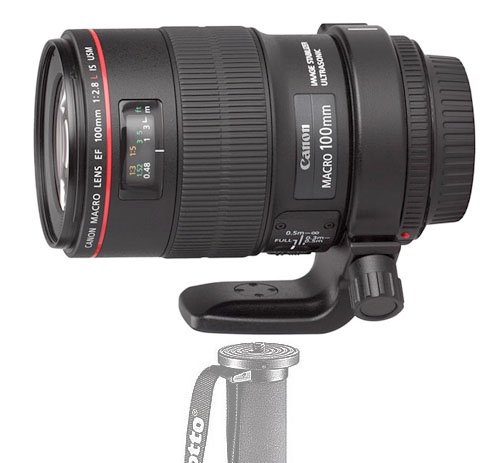 monopod lens mount