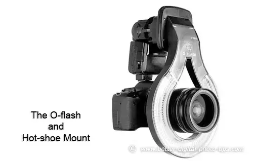 The O-ring Flash