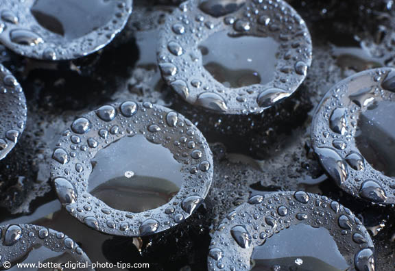 Click to enlarge this abstract macro photograph of suctions cups - an unusual subject for macro photography