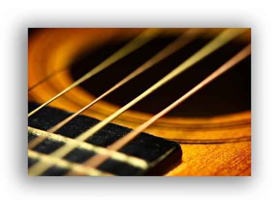 Macro photo of Guitar Strings