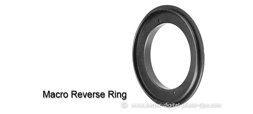 Photo of a simple macro reverse ring