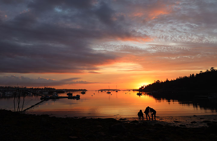 Acadia, Maine Sunrise
