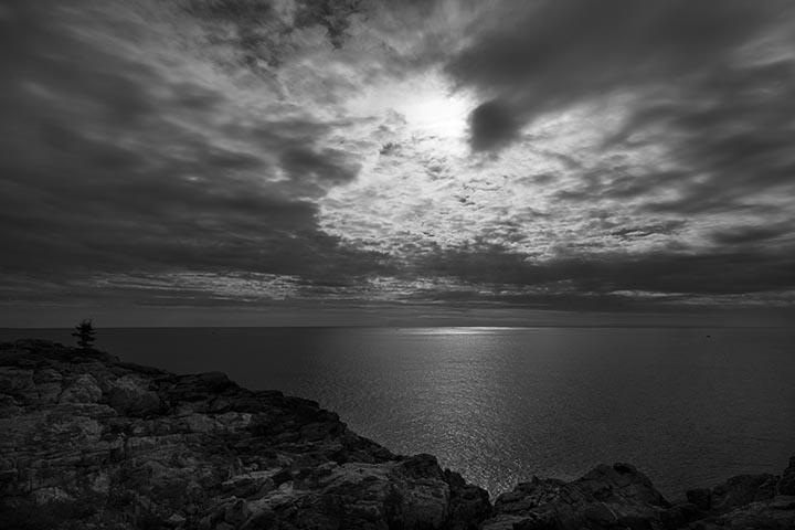 Maine Acadia black and white