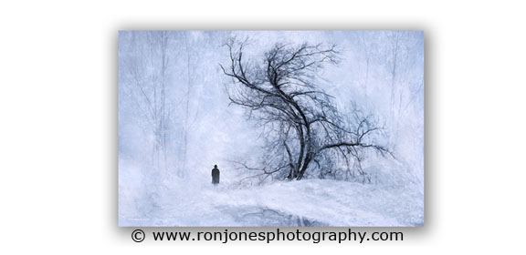 Another nature photograph by Ron Jones Photography