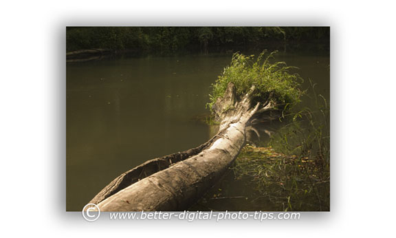 Unattractive nature subject