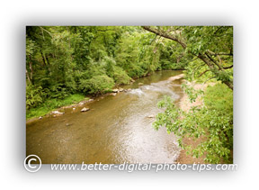 Horizontal Composition Nature Photography Example