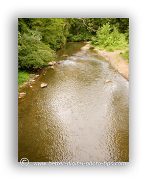 Vertical Composition Example for Nature Photos