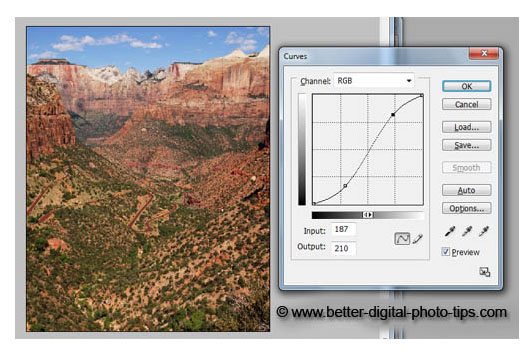 PhotoShop Curves used as a creative technique to enhance the photo