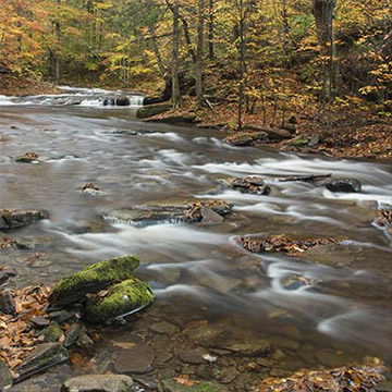 Ricketts Glen, Kitchen Creek