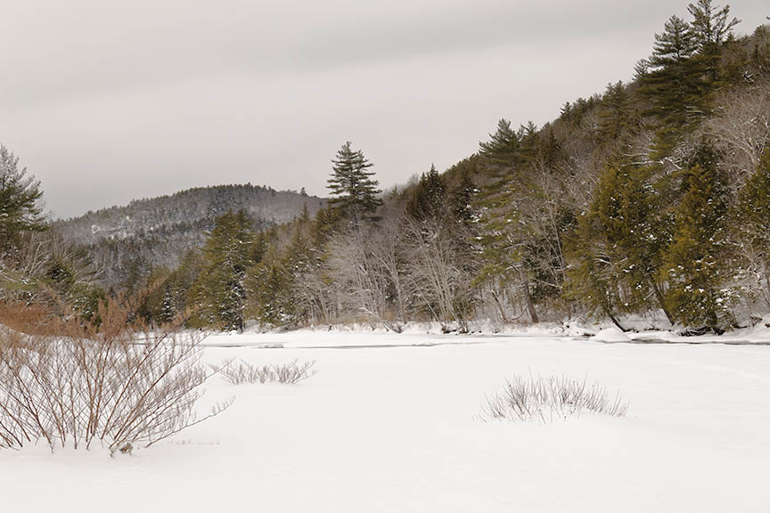 Saco River Nature Photo