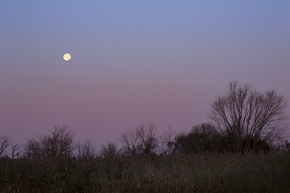 Salem moon composition