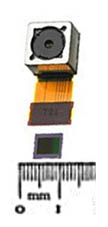 Sensor size of mobile phone sensor