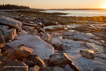 Sweet morning light in Maine