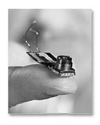 Tiny cell phone camera sensor