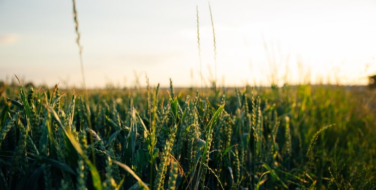 Landscape photo with short depth of field