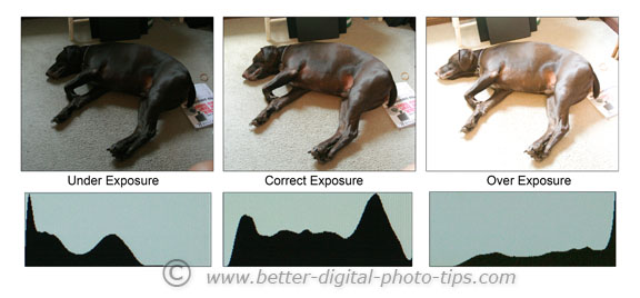 Digital photography histograms. Simple explanation of what is a histogram and why you should even care.