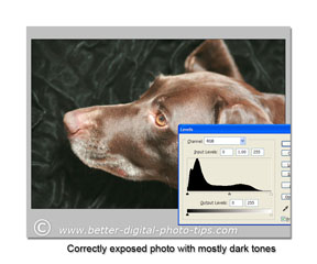 Dark histogram