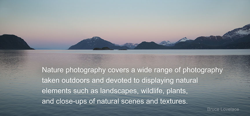 Definition of nature photography