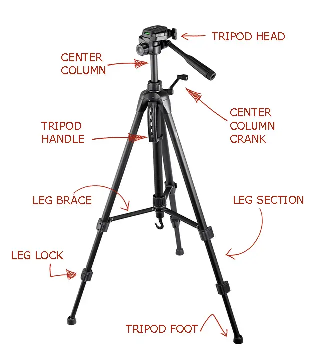 Diagram - Anatomy of a camera tripod.