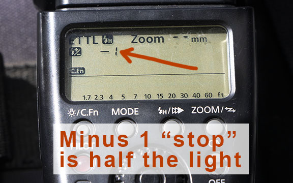 To blend the existing light with the light from the flash, set it to automatic and 1 stop underexposure compensation