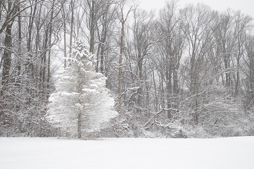 Snow Pitman Golf Course