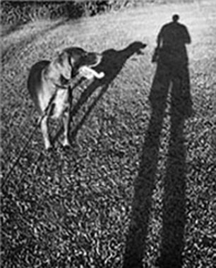 dog and owner shadow