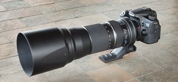 Tamron 150-600mm Lens on Canon EOS 70D