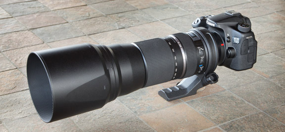 Is the Tamron 150-600mm Any Good? Helpful Guide Based on My Own Test