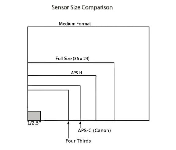 Cell phone camera sensor size comparison