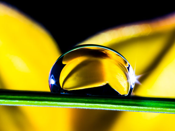 How I took a macro photo of a water droplet – SLR Photography Guide