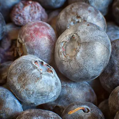 CLOSE-UP OF BLUEBERRIES